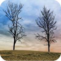 Twin Trees - Live Wallpaper on 9Apps