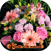 Día de las madres. Postales icon