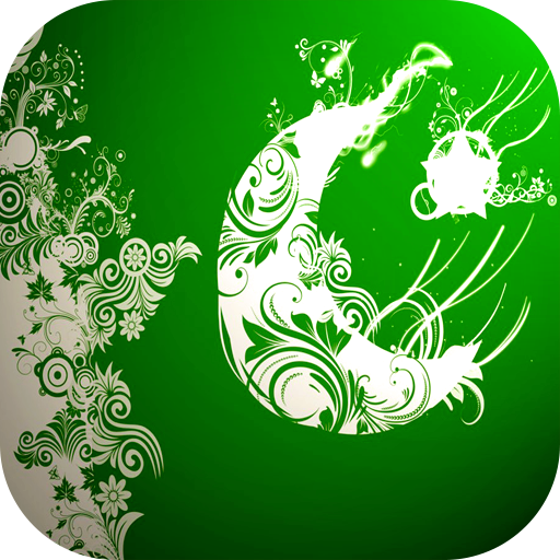 Pakistan Flag Wallpaper - پاکستان پرچم icon