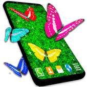 Real Butterflies on Screen on 9Apps