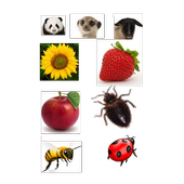 Scientific names icon