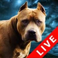 Fighting Dogs Live Wallpaper on 9Apps