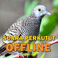 Kicau Suara Burung Perkutut MP3 Offline on 9Apps