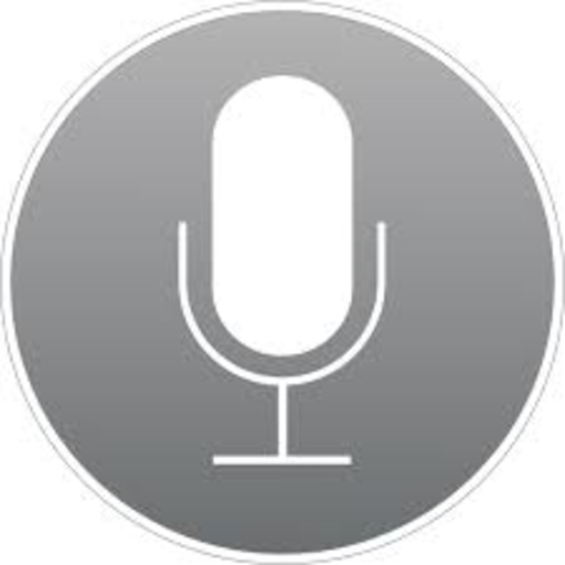 Voice Search For Google icon