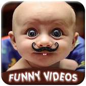 Funny Videos