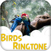 Bird Ringtone icon
