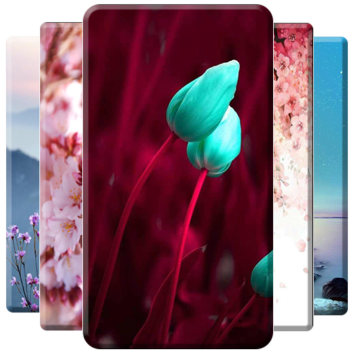 Spring Wallpaper icon