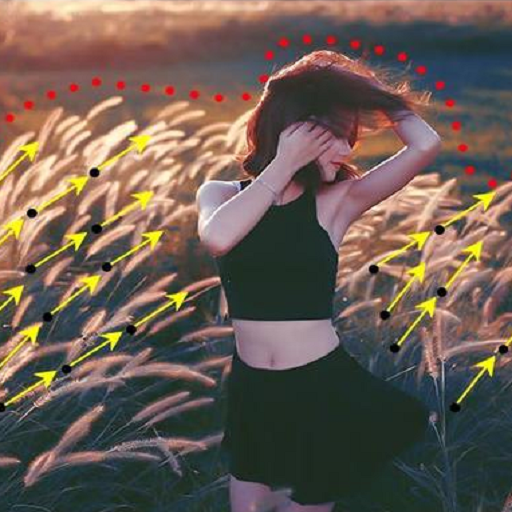 Motion In Photo - Moving Picture &amp; Animator आइकन