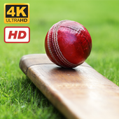 Cricket Wallpapers HD 4K icon
