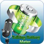 Talking Battery  Meter Alarms