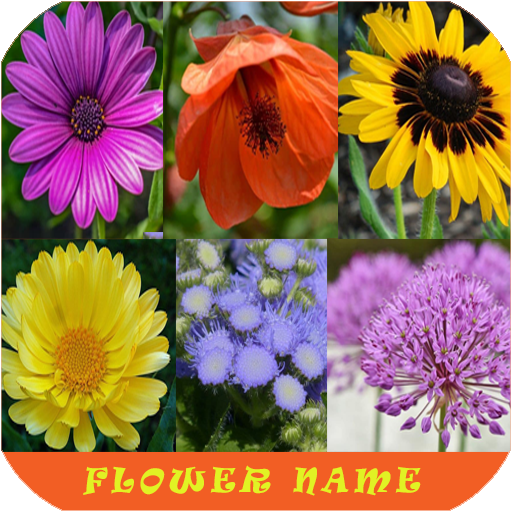 Learn Flower Name icon