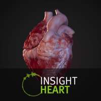 INSIGHT HEART