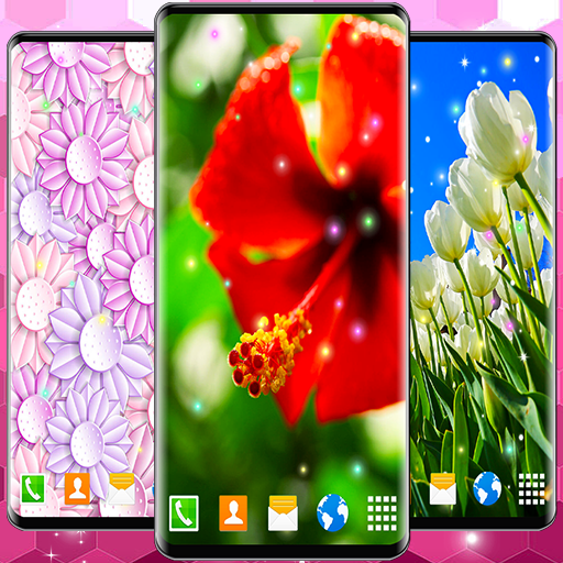 Animated Wallpaper For Xiaomi أيقونة