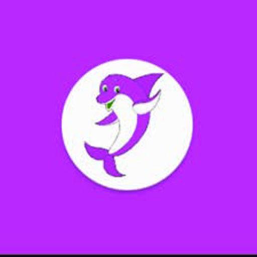Dolphin vpn icon