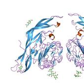 Hormone Replacement Therapy icon