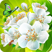 Flower Crush Mania icon