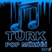 Pop Müzik 2016