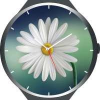 Flowers Animated Watch Faces on 9Apps