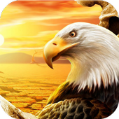 Eagle Wallpapers icon
