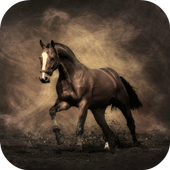 Horse Wallpapers icon