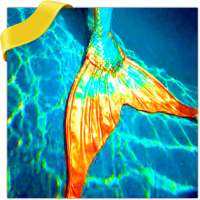 Mermaids Wallpapers on 9Apps