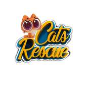 Pet Rescue Puzzle - Cats