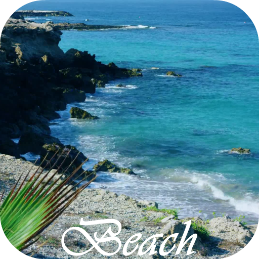 Beach Video Live Wallpaper icon