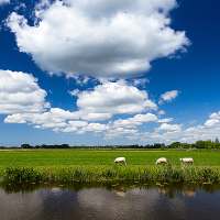 das Wetter in den Niederlanden