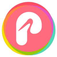 P Icon Pack on 9Apps