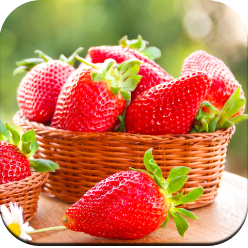 Fruit Wallpaper 4K أيقونة