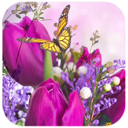 Flower Live Wallpaper Dancing Butterfly icon