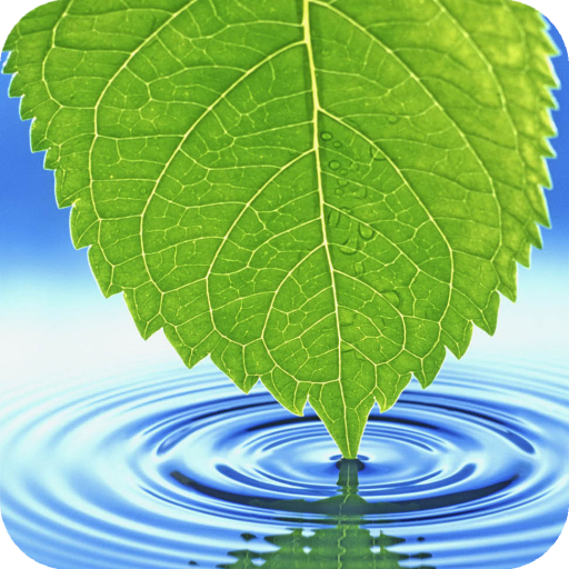Leaf Wallpaper HD icon