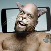 مواء : القط وجه الماسح الضوئي