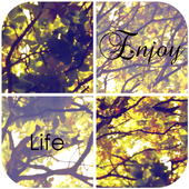 Summer lock screen icon