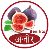 अंजीर के फायदे icon