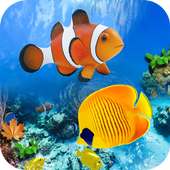 Aquarium Fish Free Live Wallpaper 2019: HD Quality on 9Apps