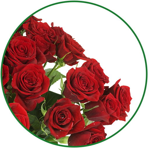 Flowers Live Wallpaper أيقونة