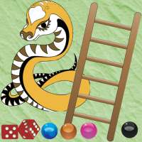 Snakes And Ladders