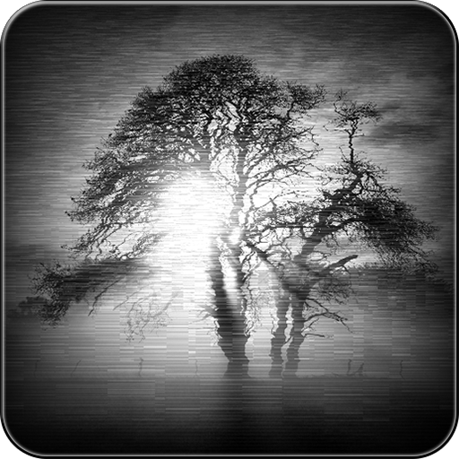 Distorted Video &amp; Image icon