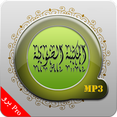 Islamic Audios Library Pro иконка