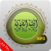 Islamic Audios Library Pro on 9Apps