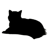 BlackCat - Super Speed Browser icon