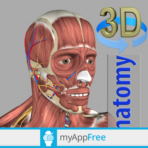 3D Anatomy icon