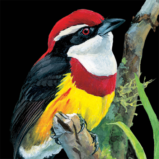 Birds of Peru icon