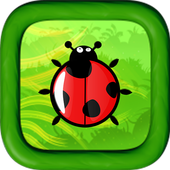 Lady Bird Adventures icon