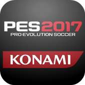 GUIDE PES 2017