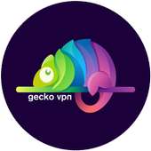 Gecko VPN