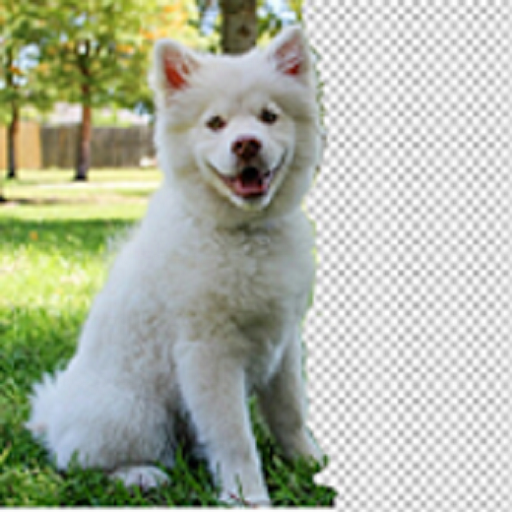 Background  Changer icon