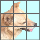 Jumping Dog icon