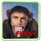 Funny Photo Montage icon